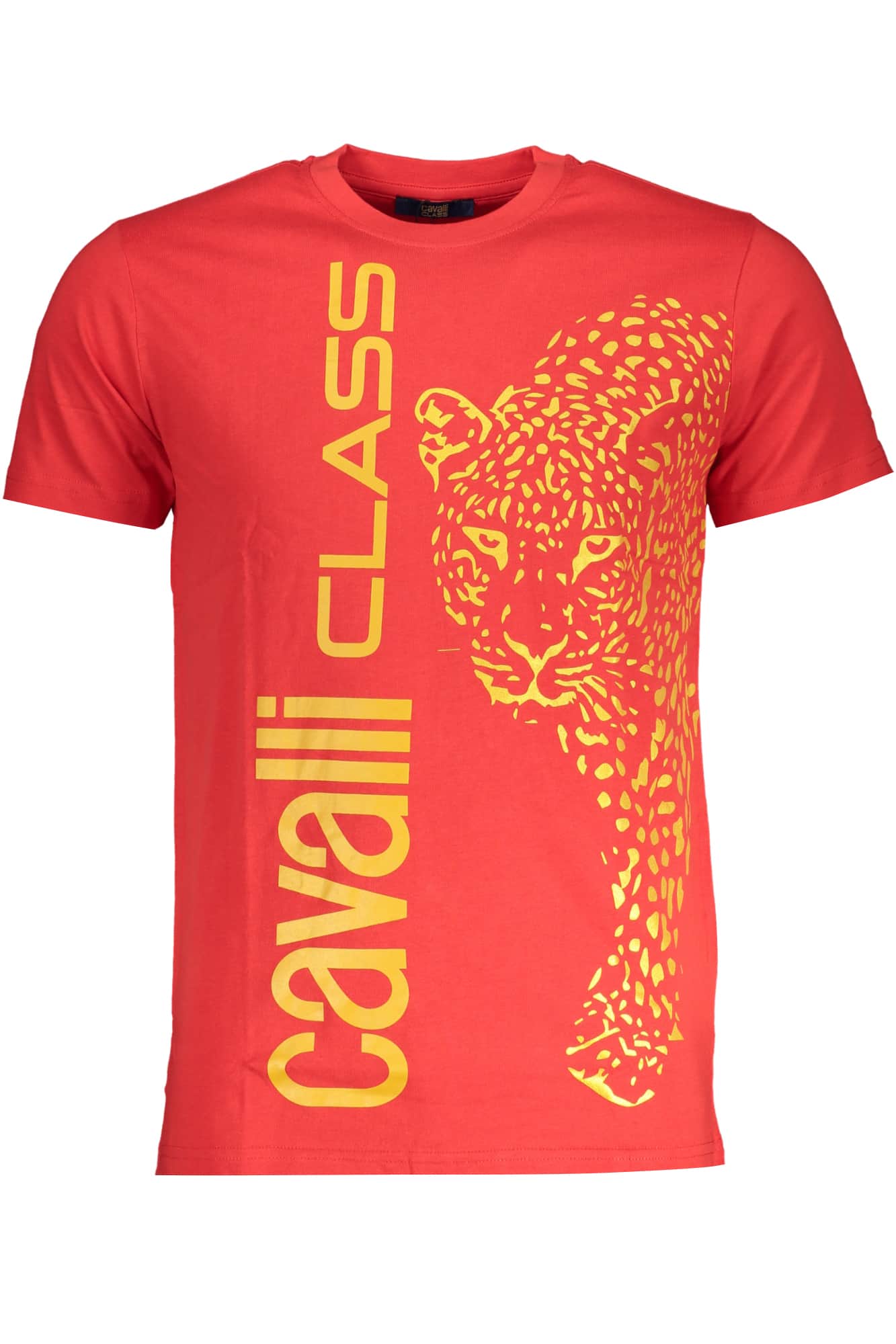 CAVALLI CLASS GREEN MEN'S SHORT SLEEVED T-SHIRT