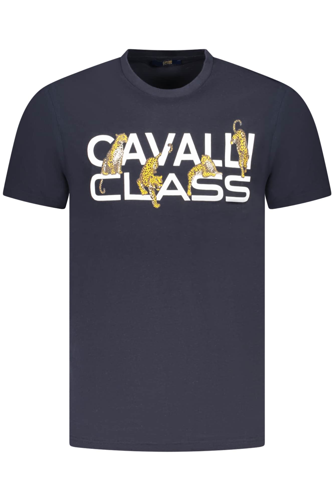 CAVALLI CLASS SHORT SLEEVE T-SHIRT MEN GREEN