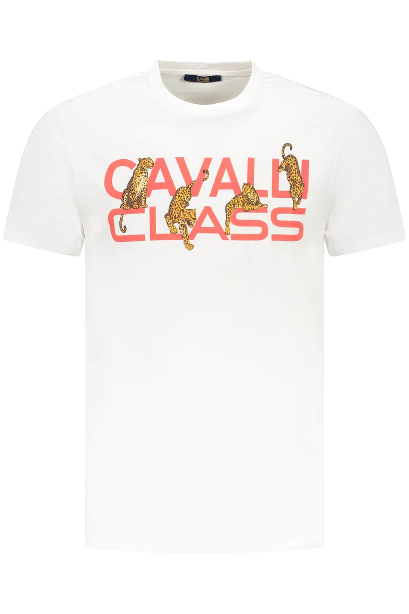 CAVALLI CLASS SHORT SLEEVE T-SHIRT MEN GREEN