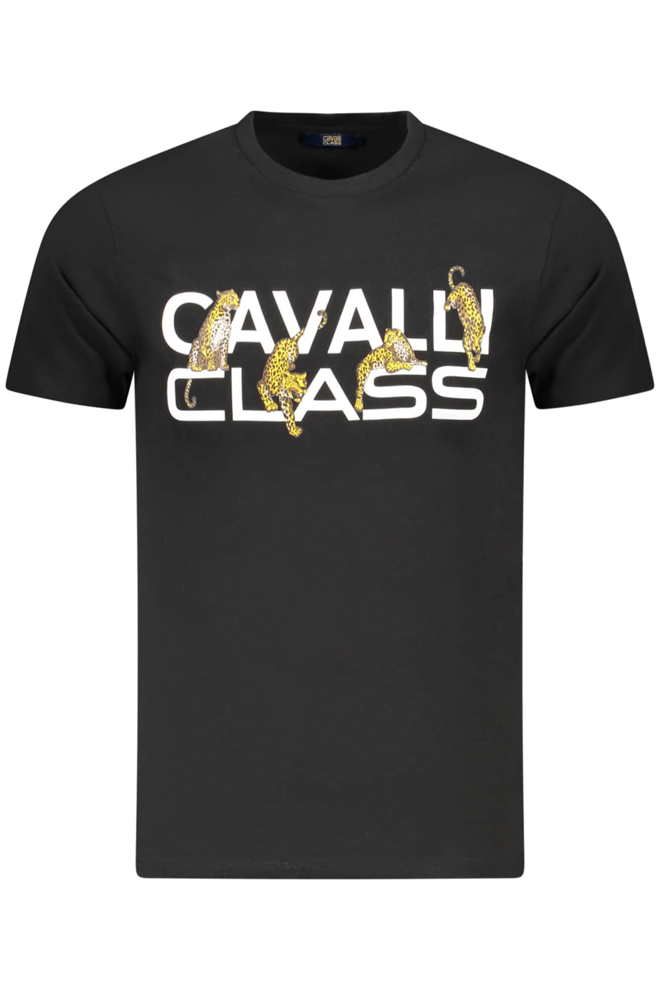 CAVALLI CLASS SHORT SLEEVE T-SHIRT MEN GREEN