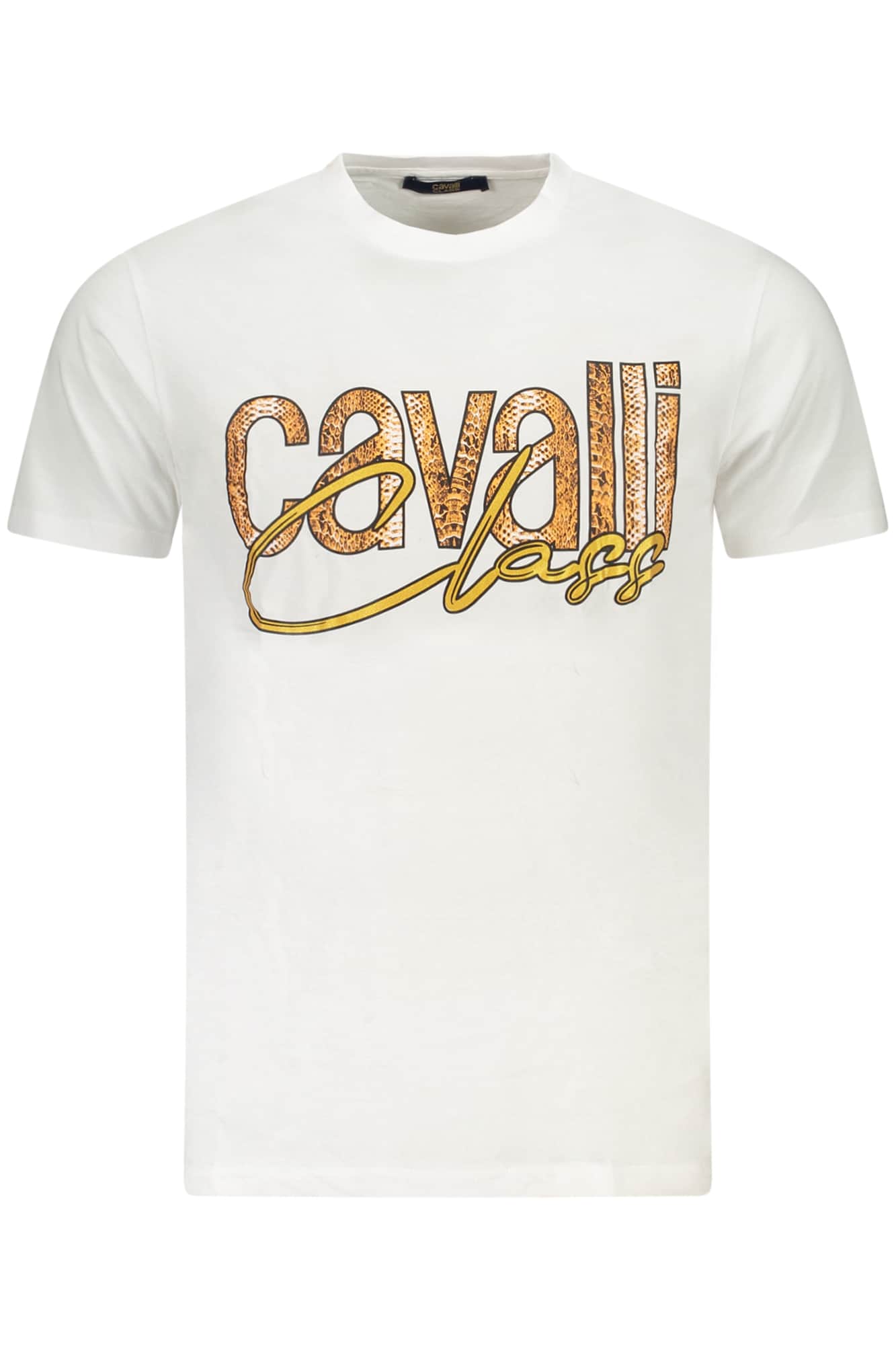 CAVALLI CLASS SHORT SLEEVE T-SHIRT MEN GREEN
