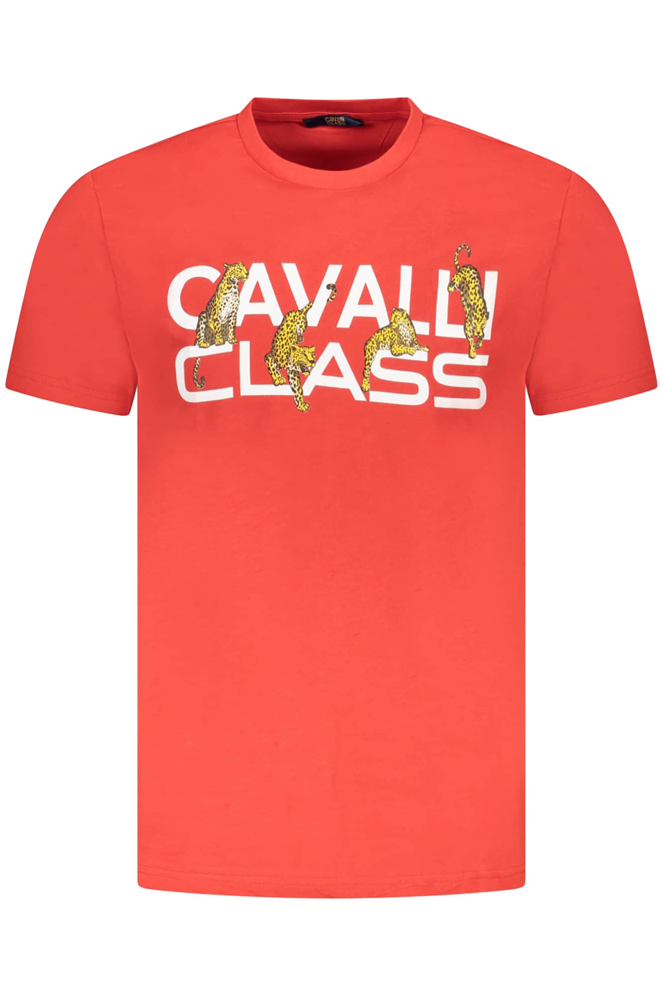 CAVALLI CLASS SHORT SLEEVE T-SHIRT MEN GREEN