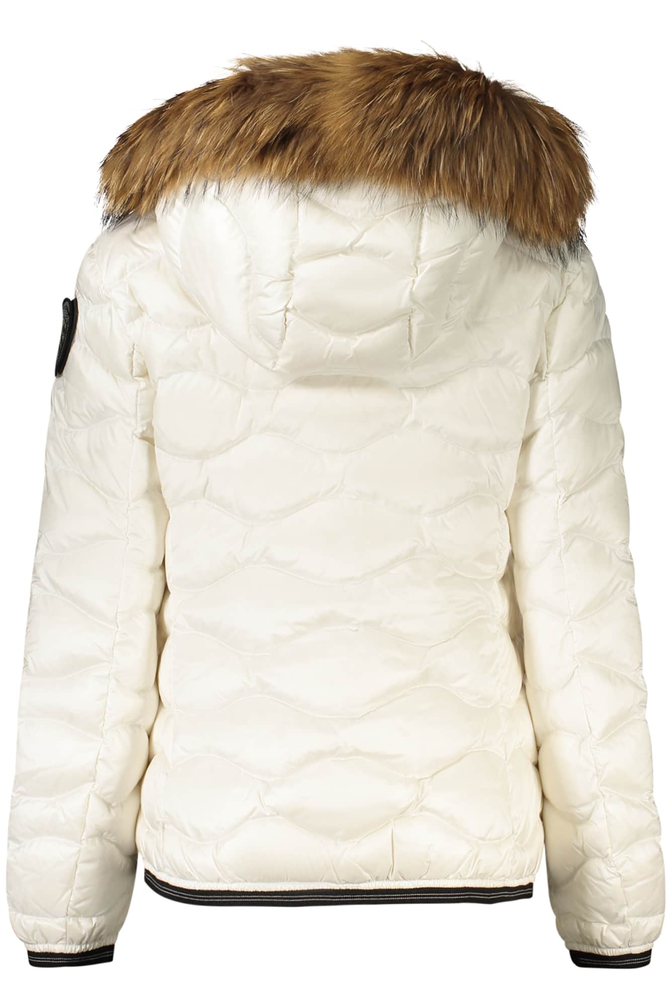 Blauer dames zwart jas