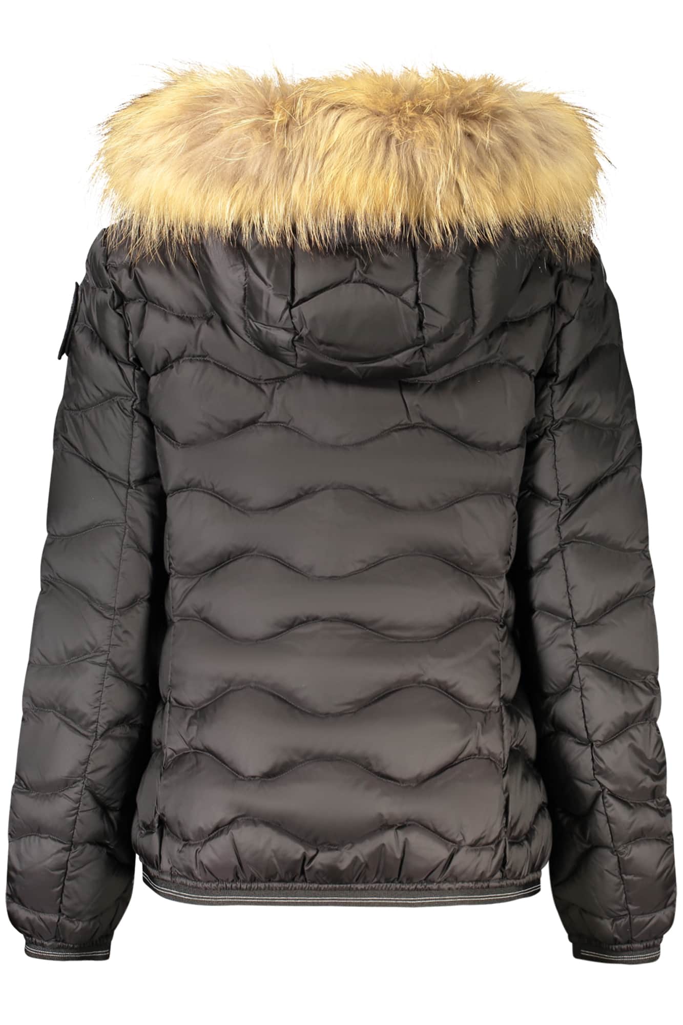 Blauer dames zwart jas